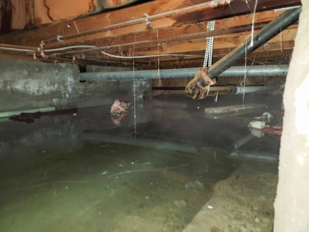 Water damage restoration mold remediation in Three Oaks, FL