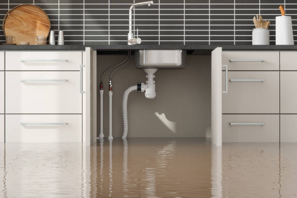 Best Emergency water damage restoration  in Three Oaks, FL