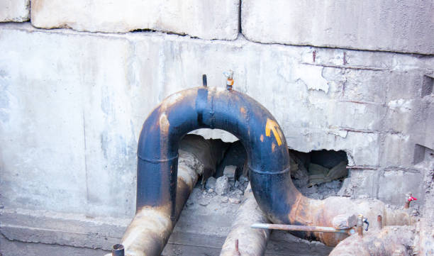 Best Sewage cleanup and water damage restoration  in Three Oaks, FL